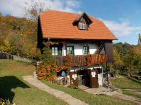  Country house Etno kuća pod Okićem  Самобор